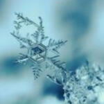 Jack Frost