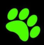 Chat Noir